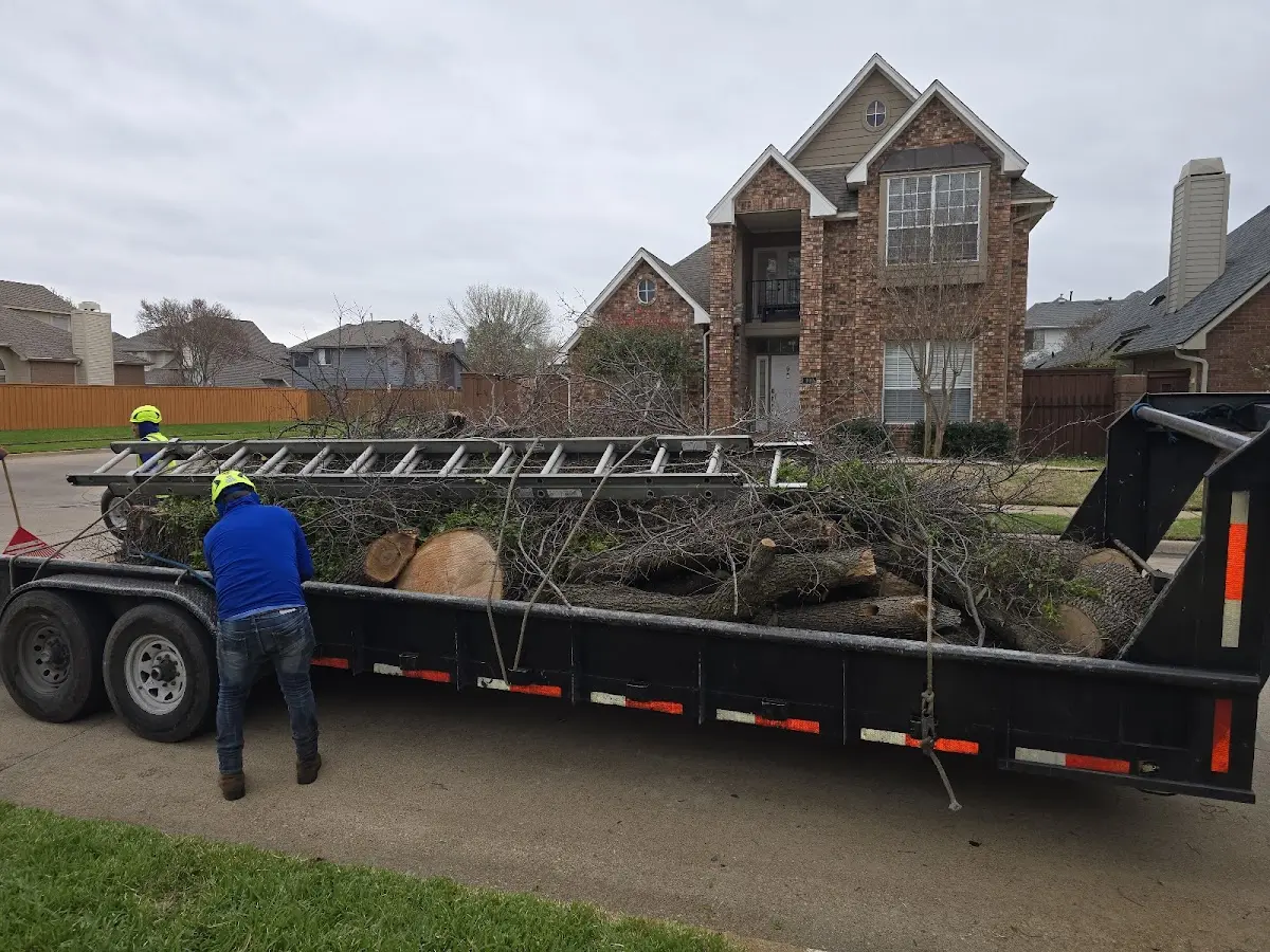 Expert Tree Fertilization with proper safety equipment in Independence